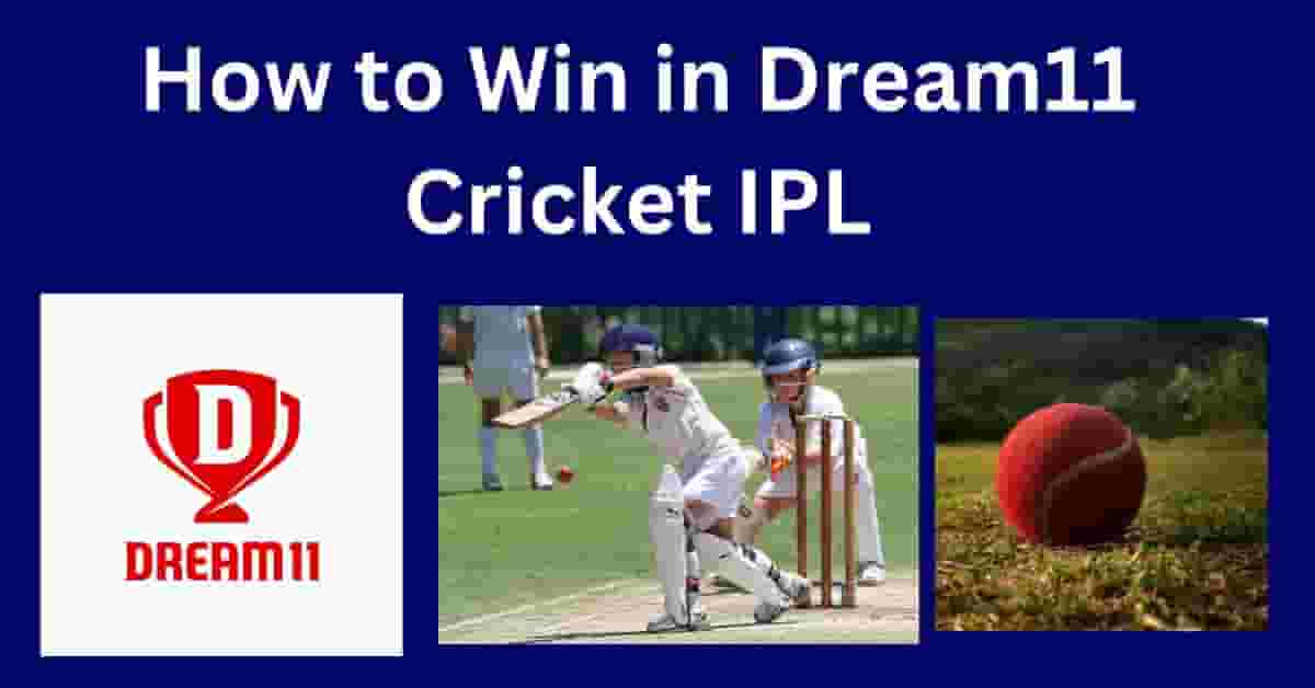 How to Win in Dream11 Cricket IPL